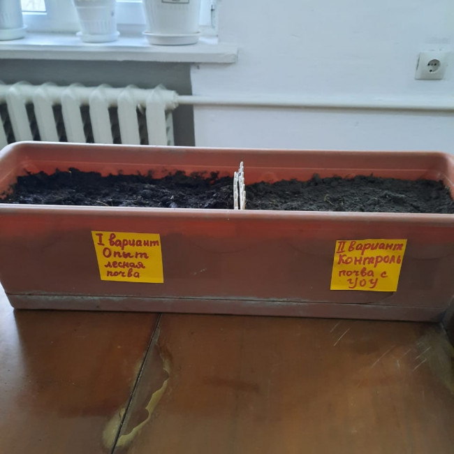 Объединение"Грунтовые цветоводы"