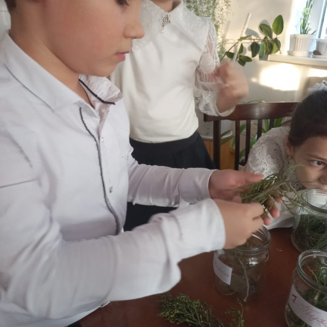 Объединение "Охрана природы"