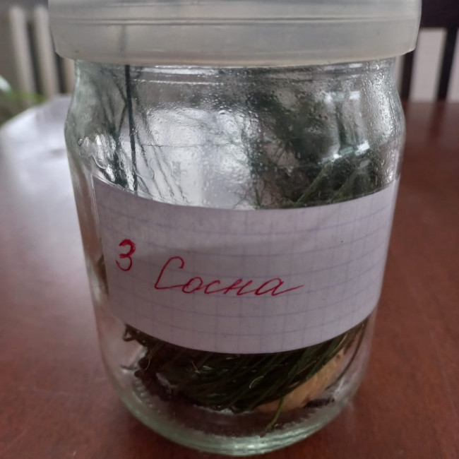 Объединение "Охрана природы"