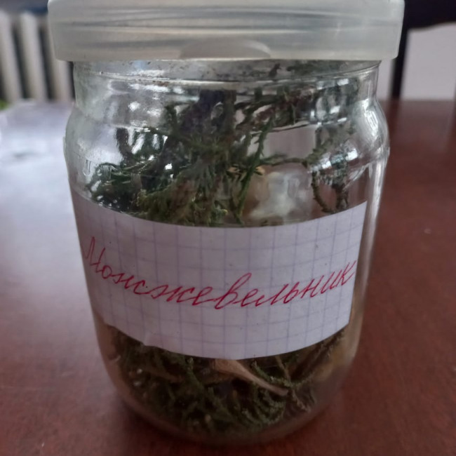 Объединение "Охрана природы"