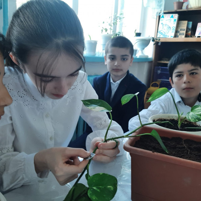 Объединение "Комнатные цветоводы"