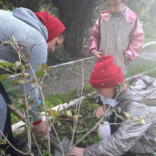 Объединение"Грунтовые цветоводы"