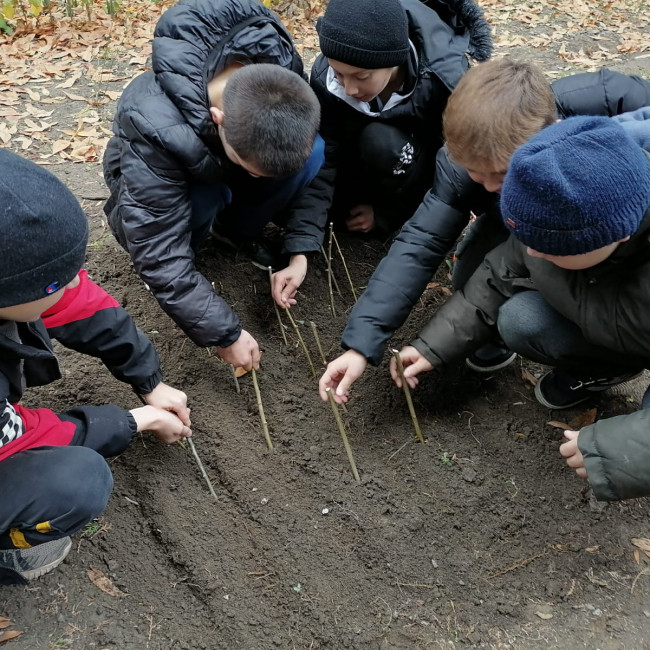 Объединение "Лесные робинзоны"