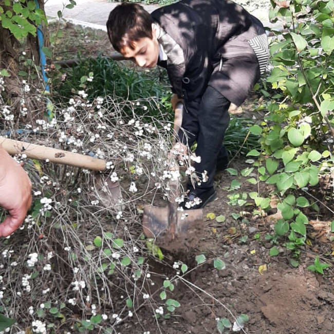 Объединение "Охрана природы"