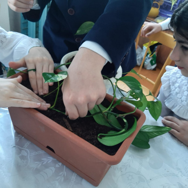 Объединение "Комнатные цветоводы"