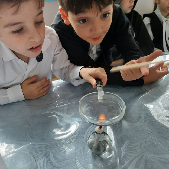 Объединение "Комнатные цветоводы"