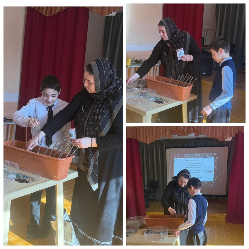 График проведения открытых занятий в объединениях ДДиМ на 2024- 2025 уч.г.