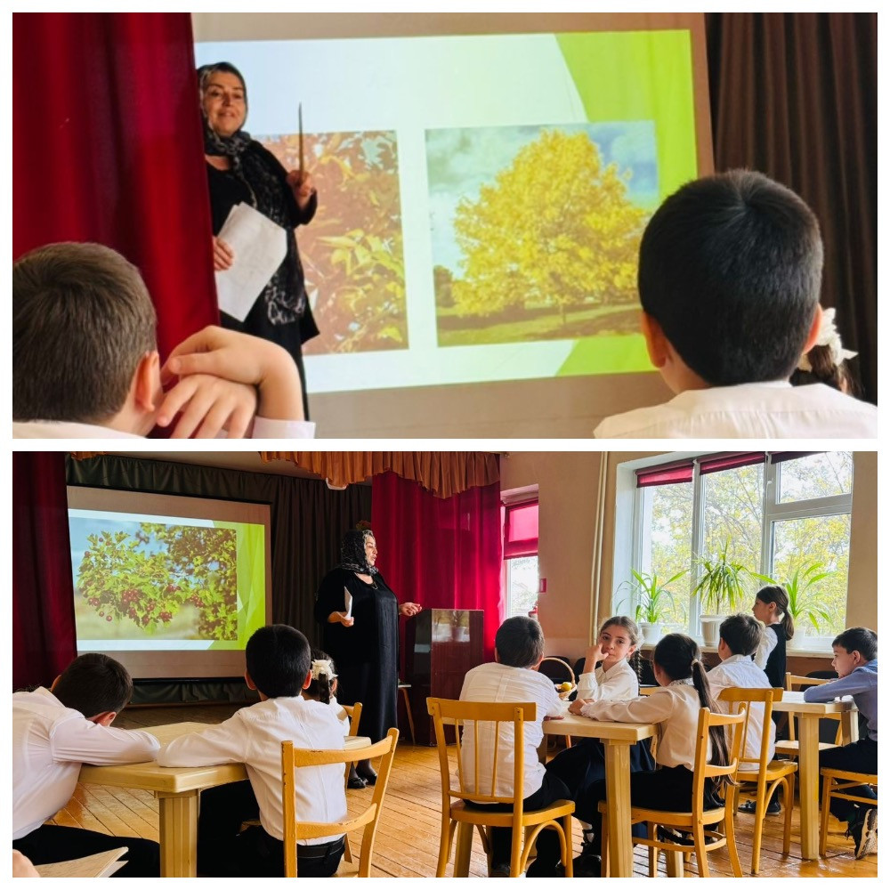 График проведения открытых занятий в объединениях ДДиМ на 2024- 2025 уч.г.