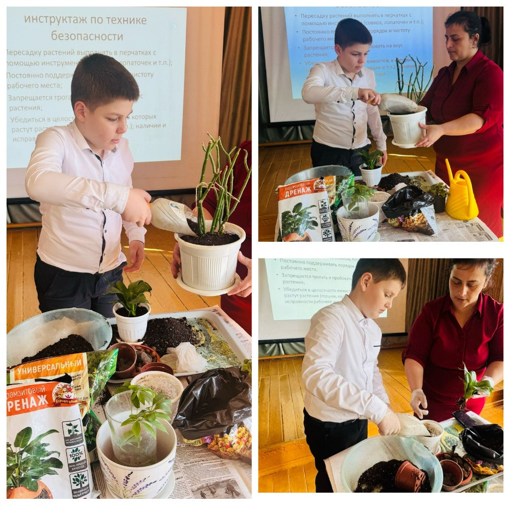 График проведения открытых занятий в объединениях ДДиМ на 2024- 2025 уч.г.