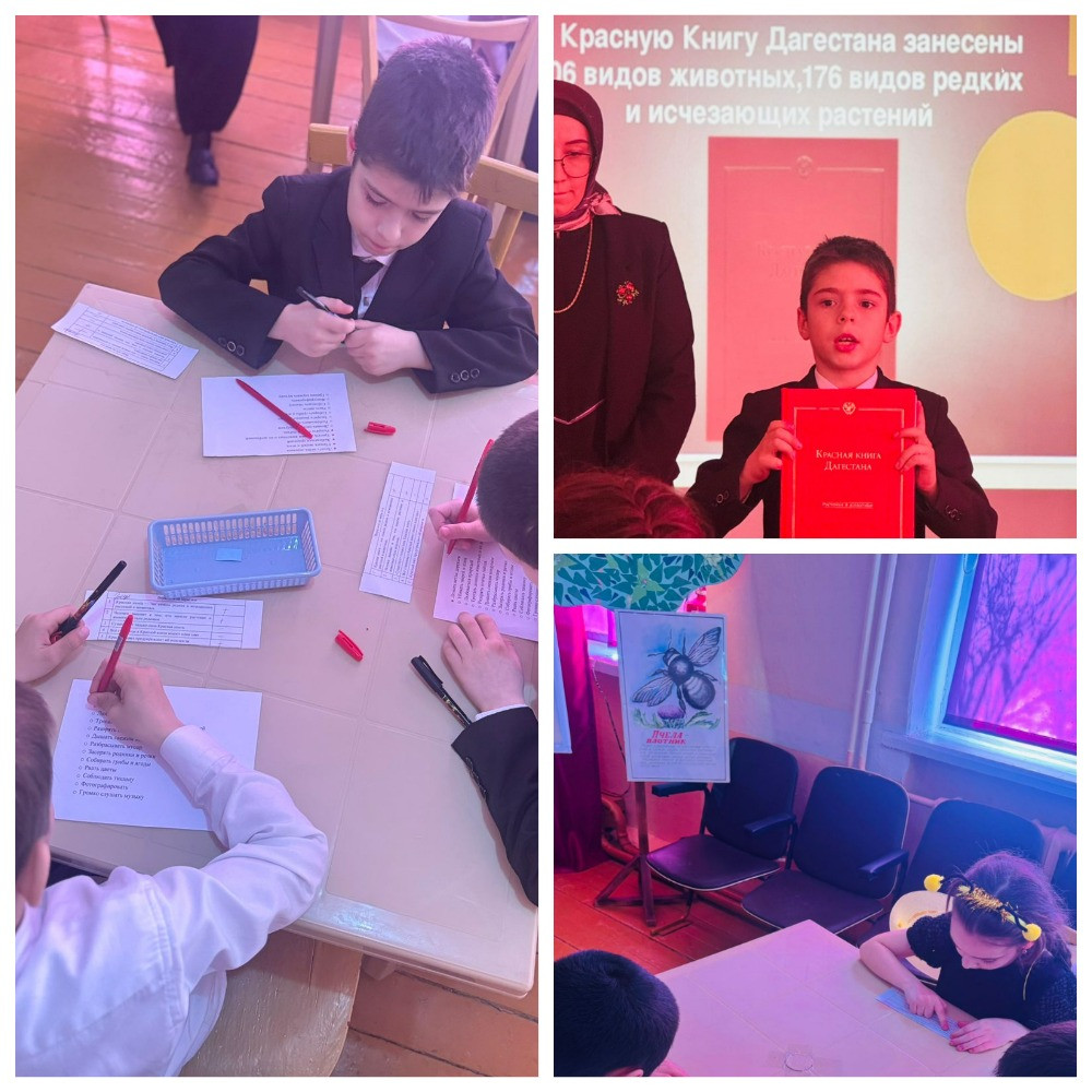 График проведения открытых занятий в объединениях ДДиМ на 2024- 2025 уч.г.