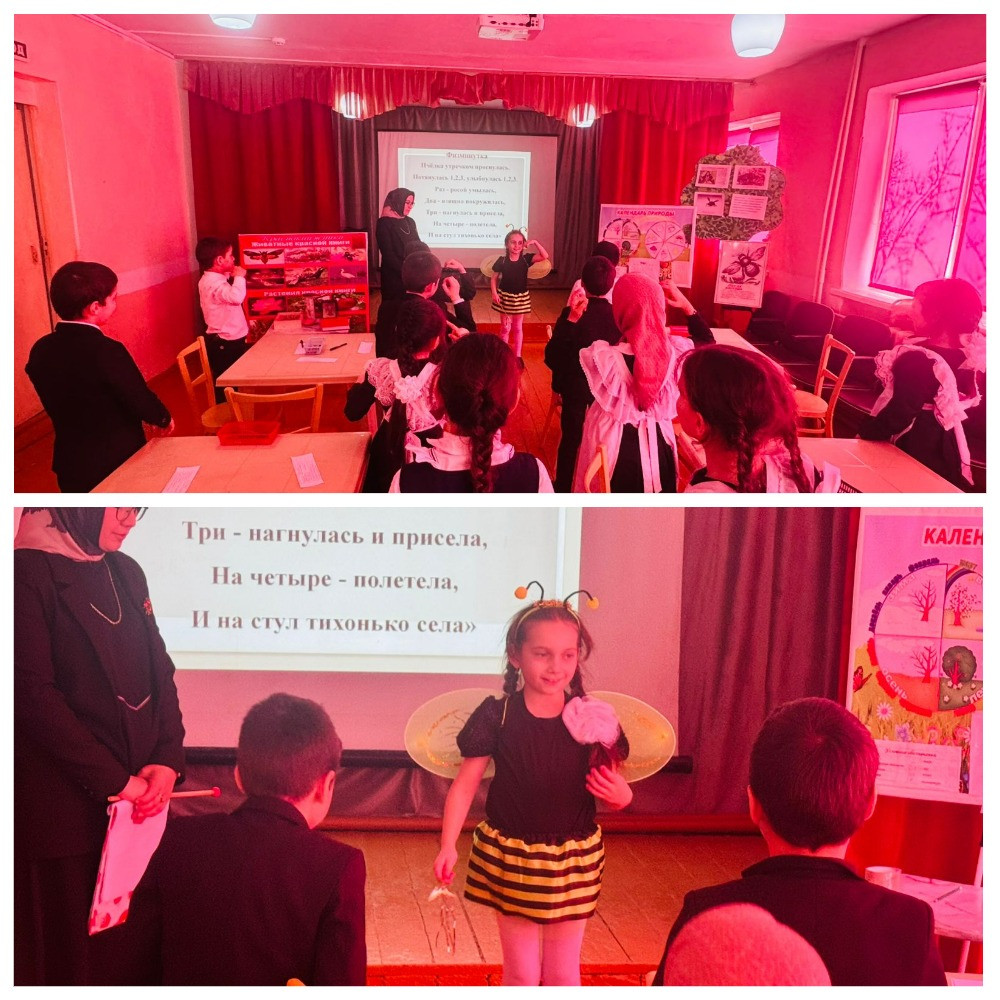 График проведения открытых занятий в объединениях ДДиМ на 2024- 2025 уч.г.