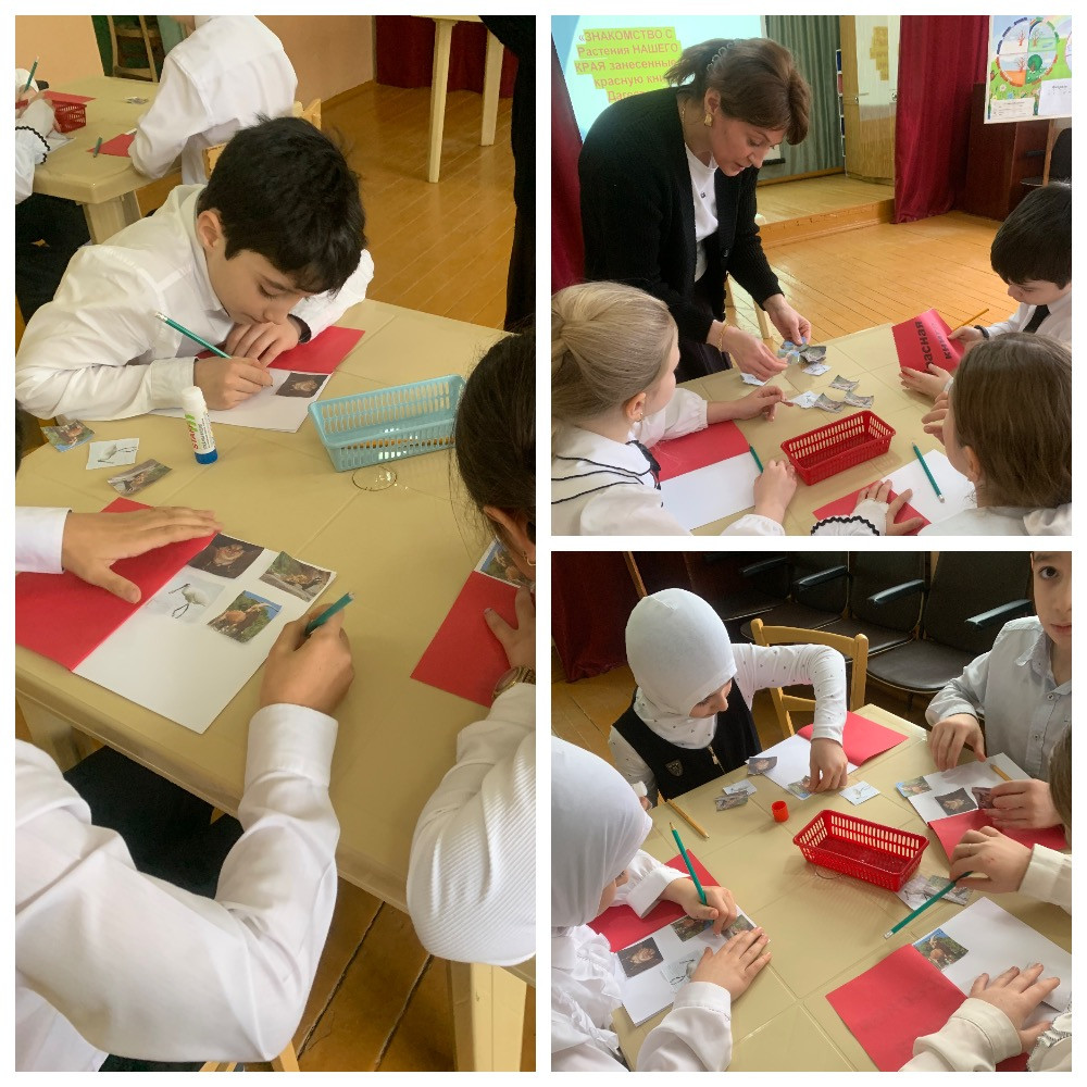 График проведения открытых занятий в объединениях ДДиМ на 2024- 2025 уч.г.