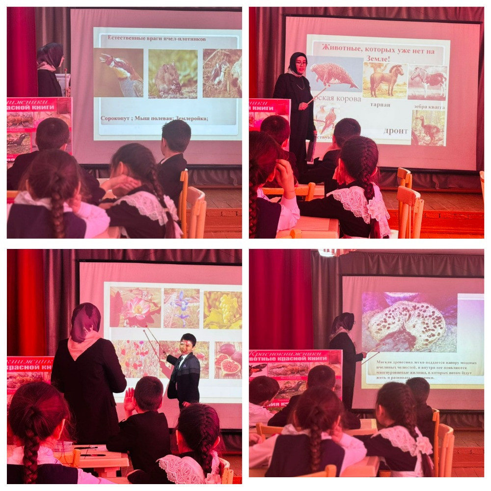 График проведения открытых занятий в объединениях ДДиМ на 2024- 2025 уч.г.