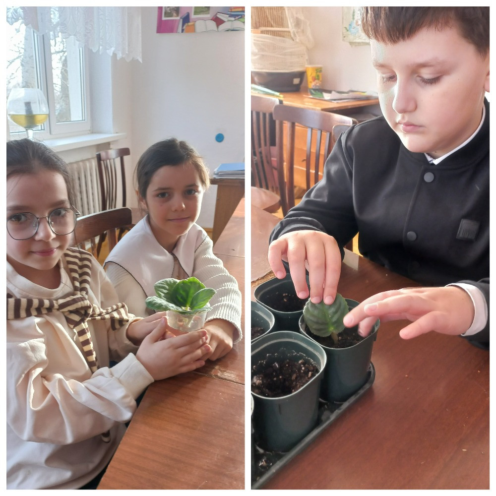 Объединение "Юные экологи"