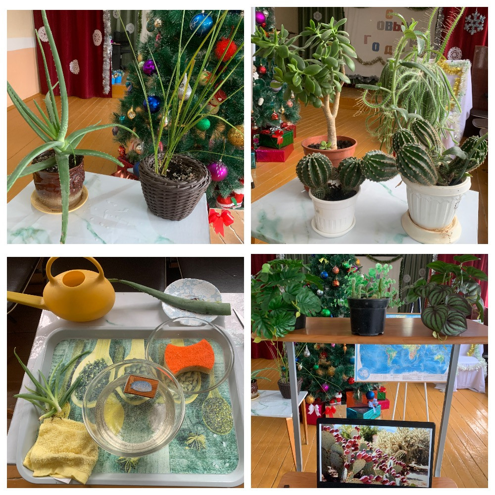 График проведения открытых занятий в объединениях ДДиМ на 2024- 2025 уч.г.