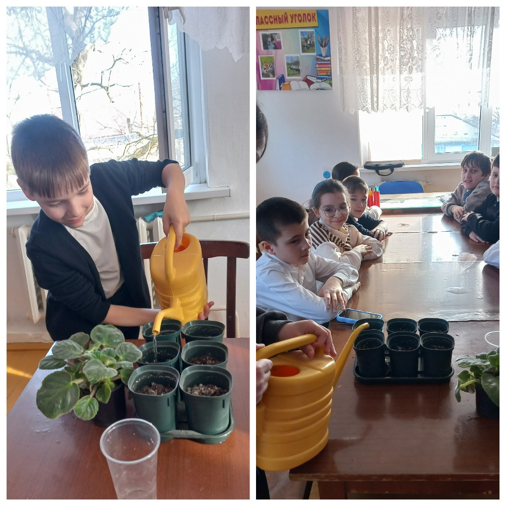 Объединение "Юные экологи"