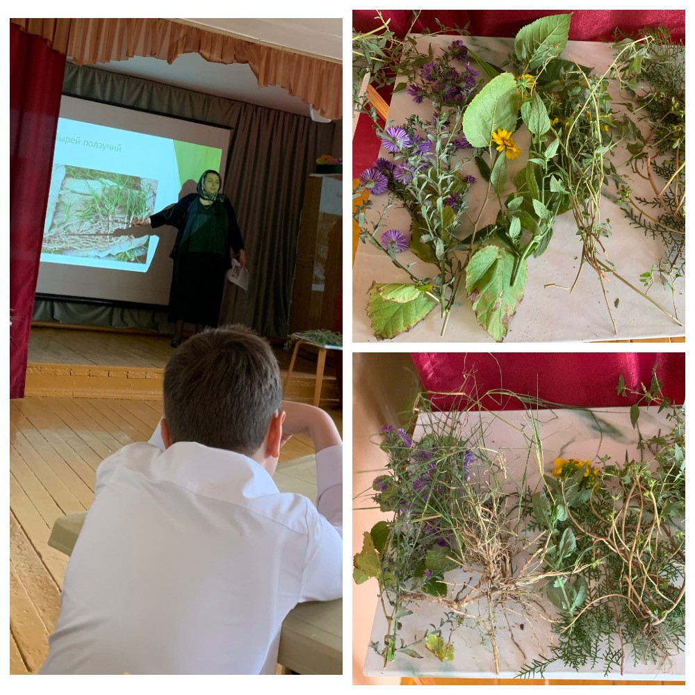 График проведения открытых занятий в объединениях ДДиМ на 2024- 2025 уч.г.