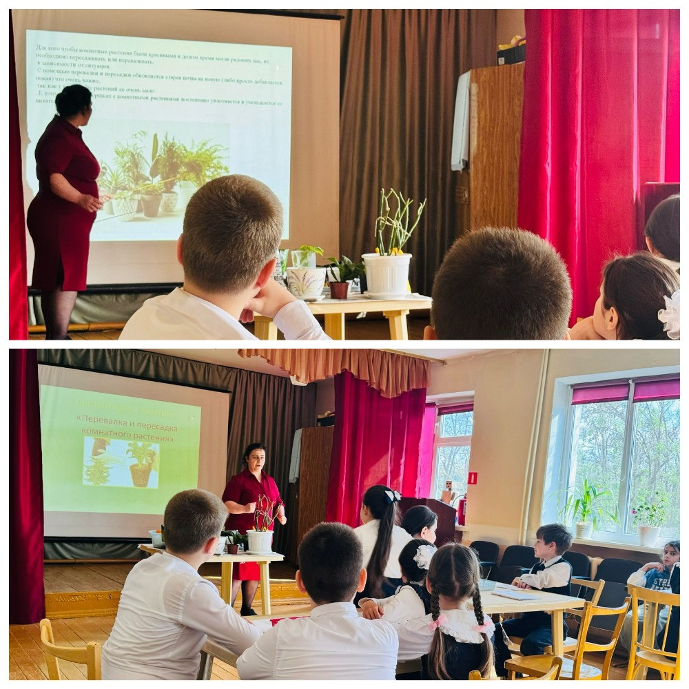 График проведения открытых занятий в объединениях ДДиМ на 2024- 2025 уч.г.