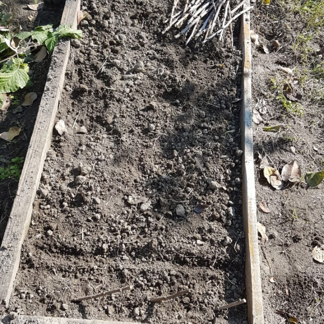 Объединение "Садоводы"