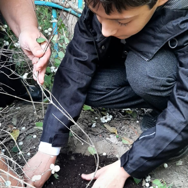 Объединение "Охрана природы"