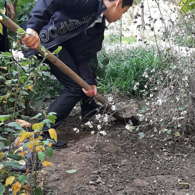 Объединение "Охрана природы"