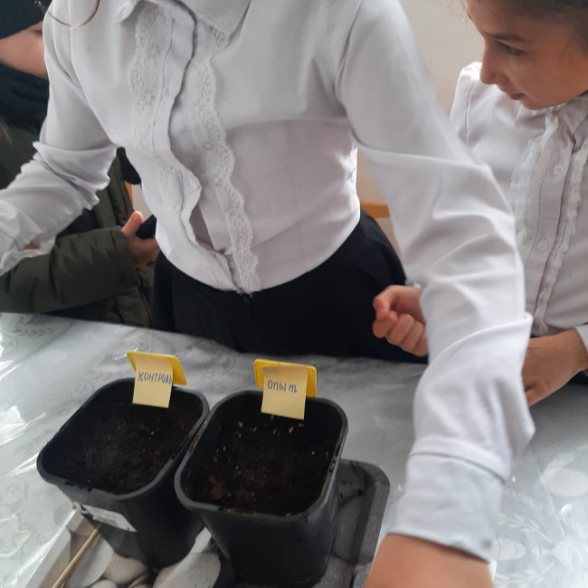 Объединение "Комнатные цветоводы"