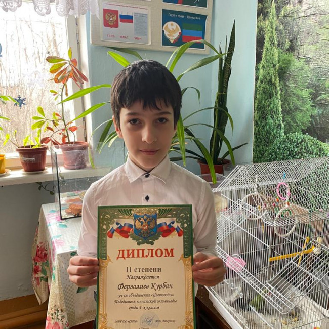 Результаты освоения ДОП "Эти загадочные цветы"