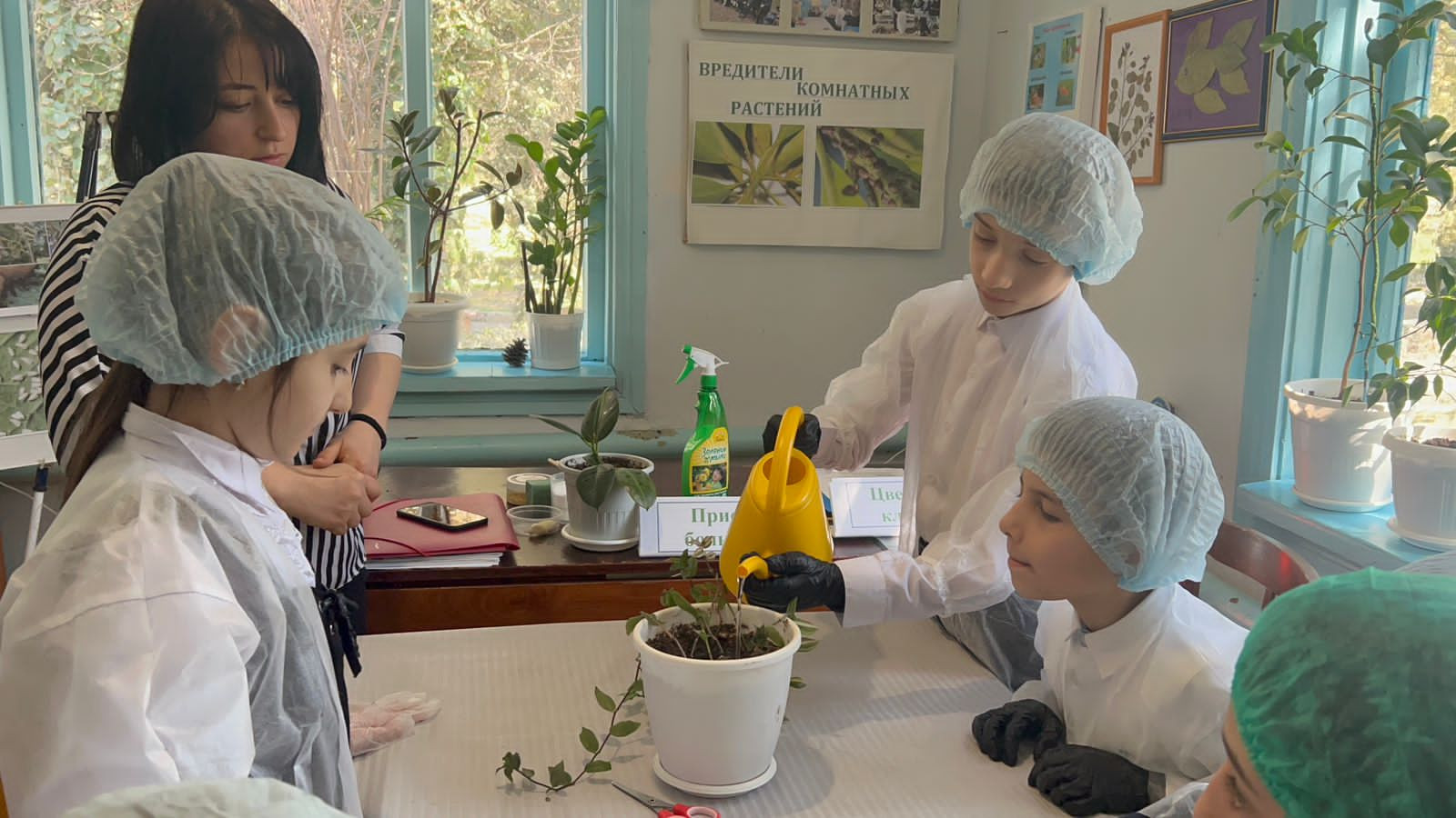 Результаты освоения ДОП "Мир вокруг нас"