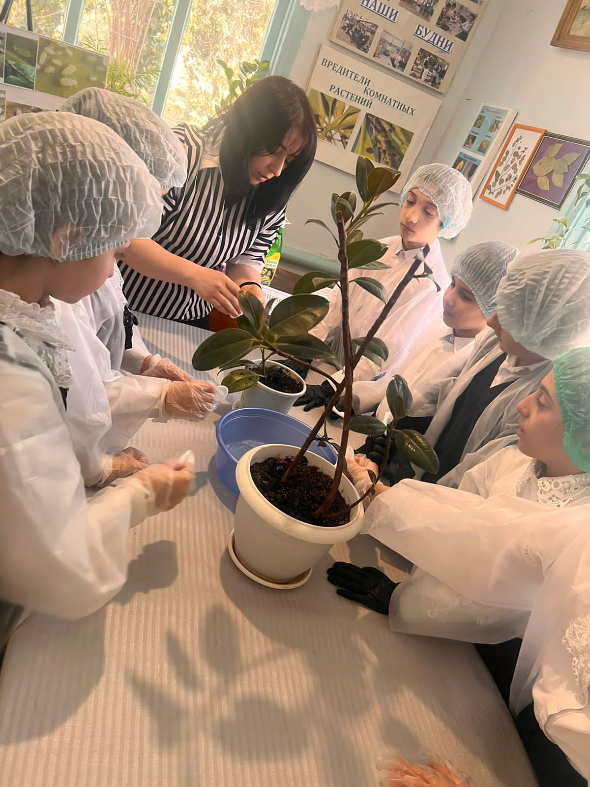 Результаты освоения ДОП "Мир вокруг нас"