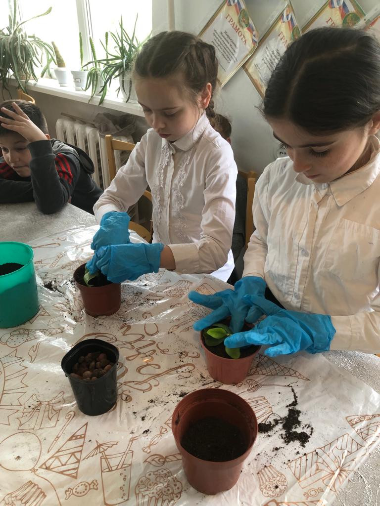 Объединение "Аквариумные рыбоводы"