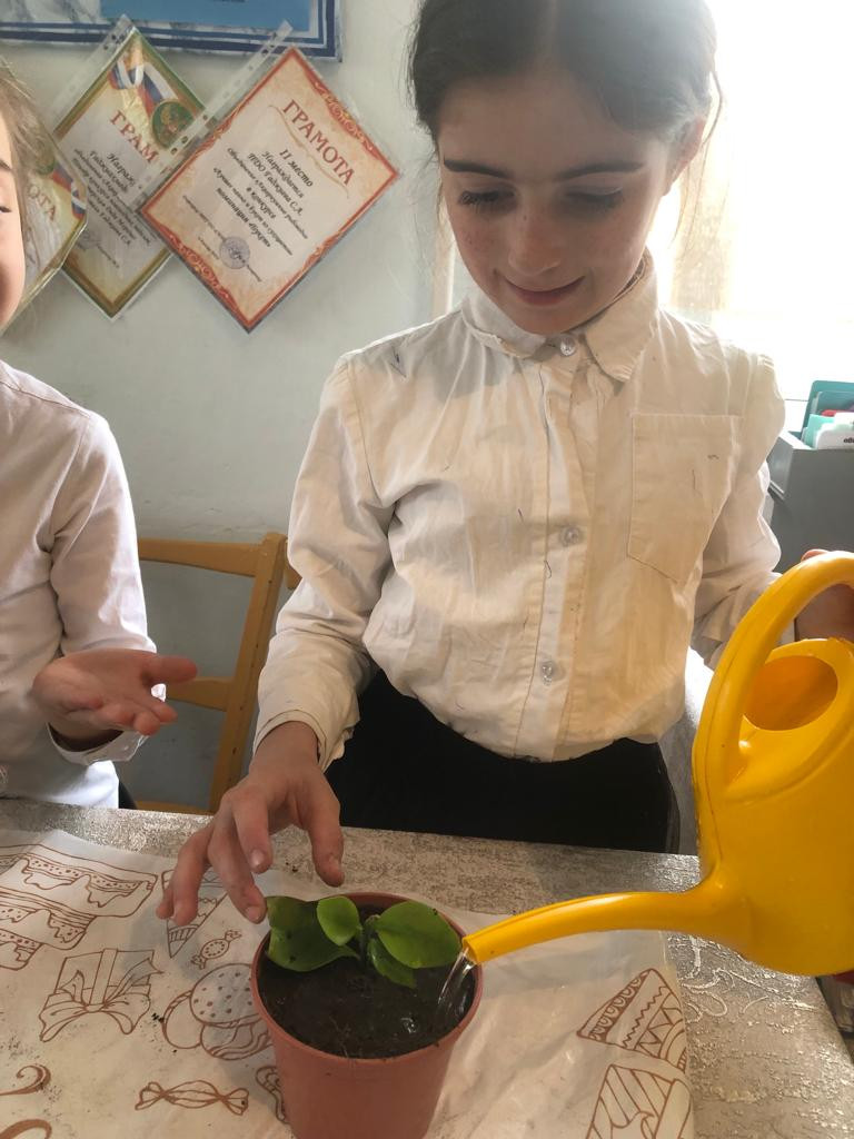 Объединение "Аквариумные рыбоводы"