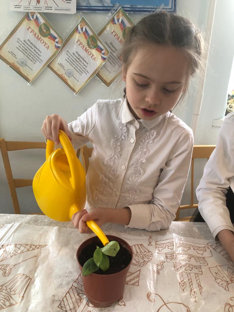 Объединение "Аквариумные рыбоводы"