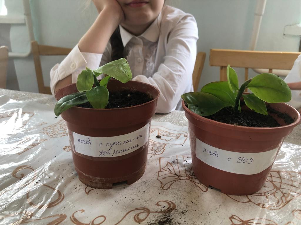 Объединение "Аквариумные рыбоводы"