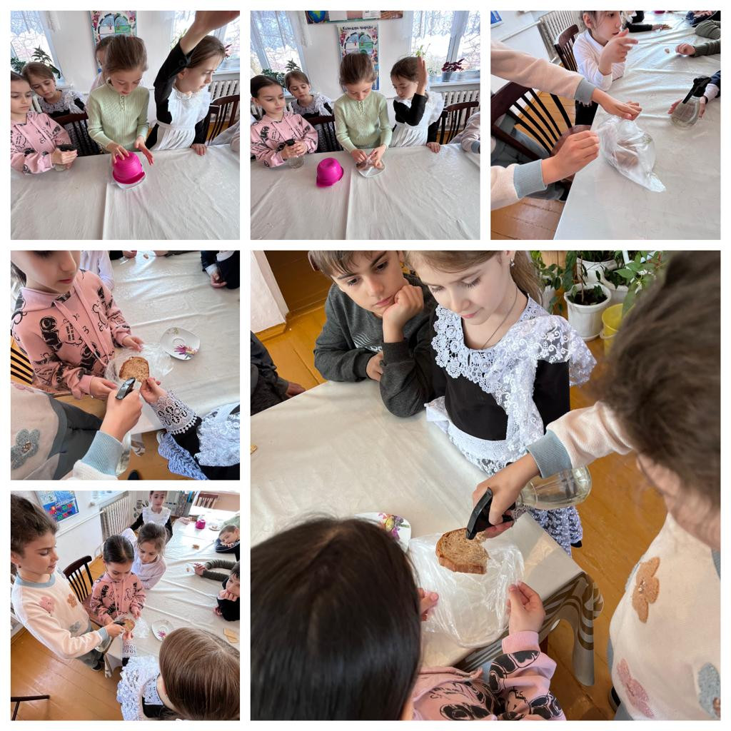 Объединение "Охрана природы" Объединение "Охрана природы"