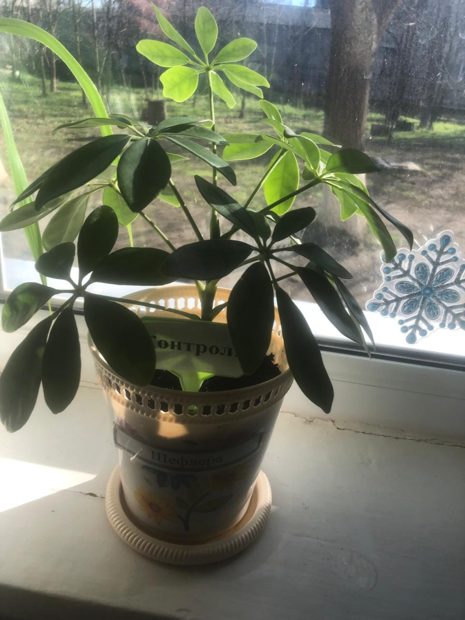 "Аквариумные рыбоводы" "Аквариумные рыбоводы"