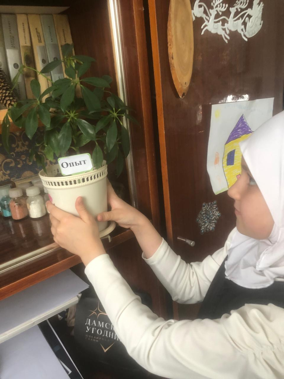 "Аквариумные рыбоводы" "Аквариумные рыбоводы"