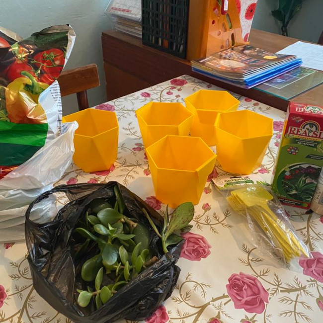 Опытническая и исследовательская работа в объединении "Цветоводы"