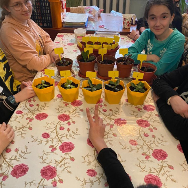 Опытническая и исследовательская работа в объединении "Цветоводы"