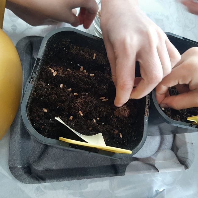 Объединение "Комнатные цветоводы"