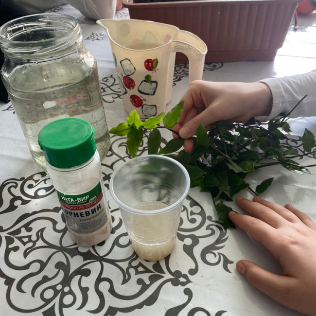 Объединение "Цветоводы"