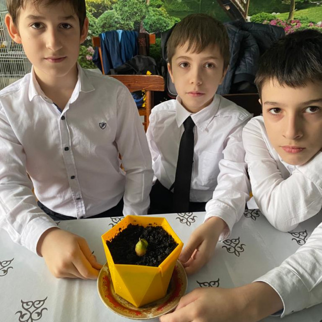 Опытническая и исследовательская работа в объединении "Цветоводы"