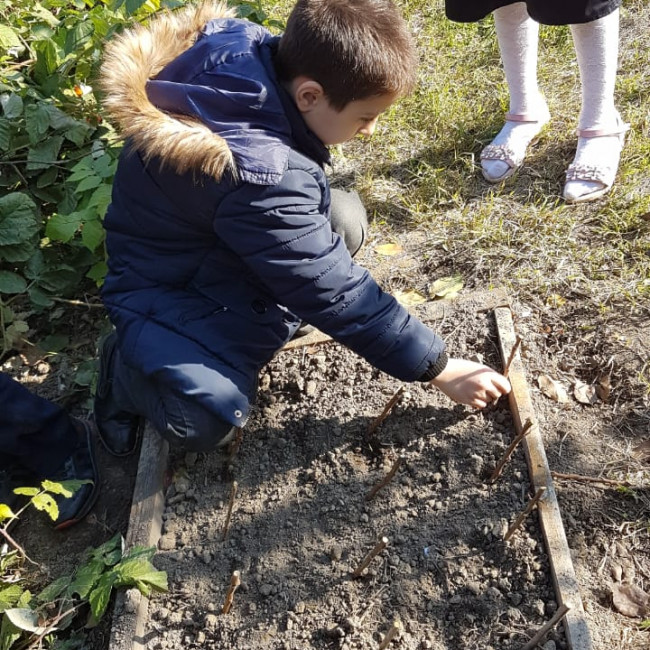 Объединение "Садоводы"