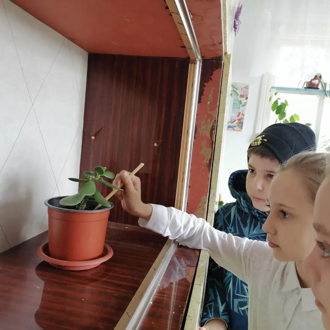 Объединение "Лесные робинзоны"