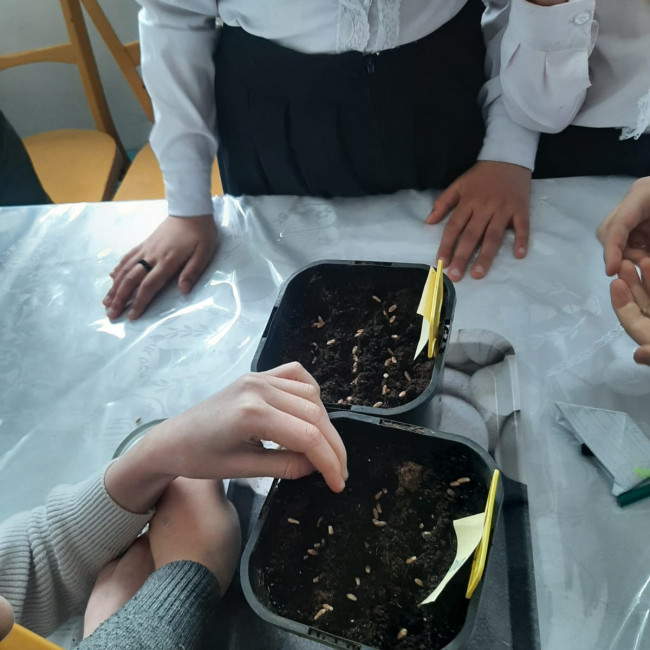 Объединение "Комнатные цветоводы"