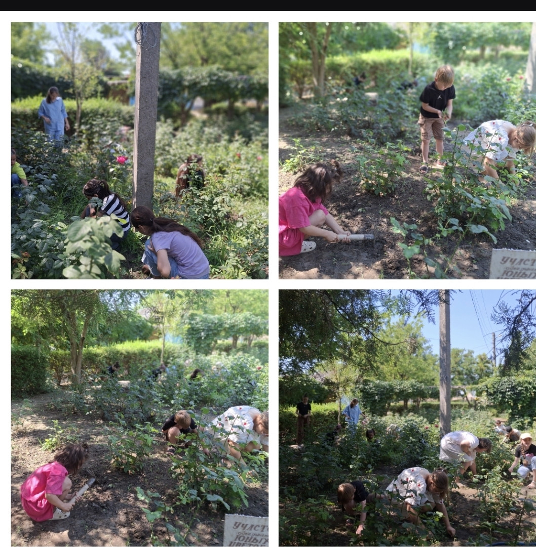 27.06.2025г. 27.06.2025г.