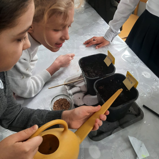 Объединение "Комнатные цветоводы"