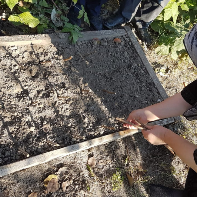 Объединение "Садоводы"