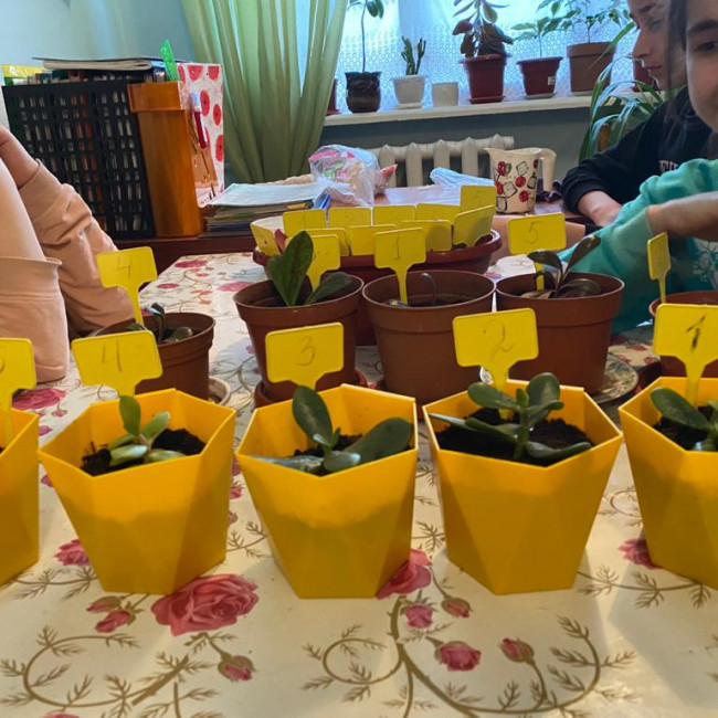 Опытническая и исследовательская работа в объединении "Цветоводы"