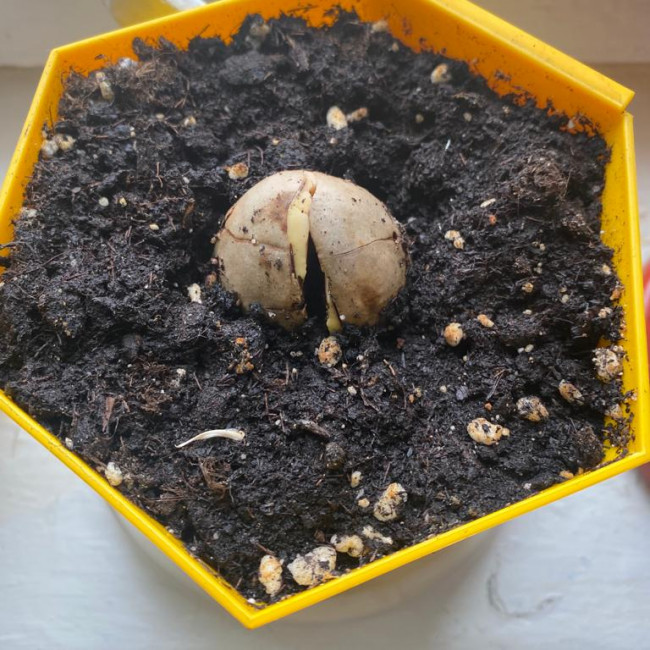 Объединение "Цветоводы"