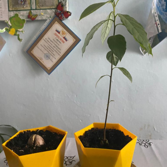 Объединение "Цветоводы"